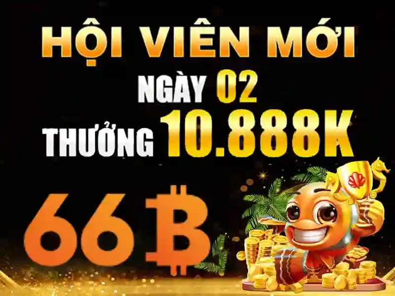 66B là gì?
