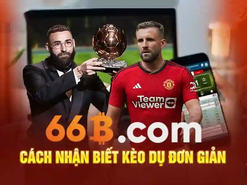 Ứng dụng trong doanh nghiệp và giáo dục