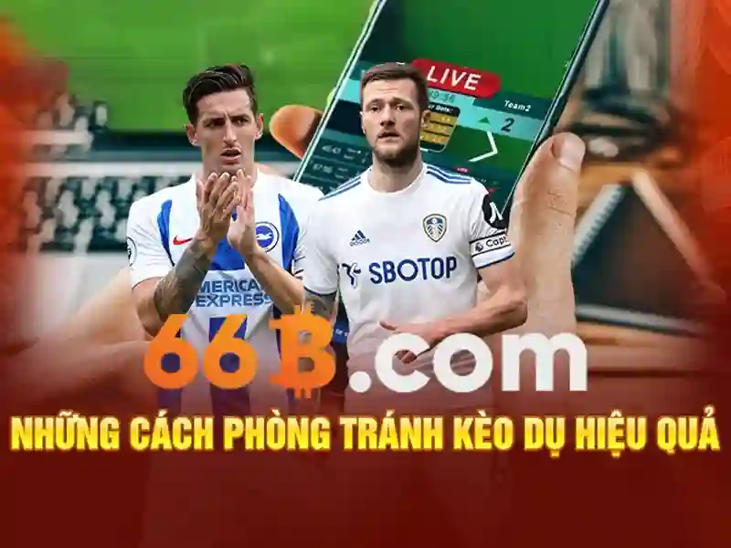 Ứng dụng và tiềm năng