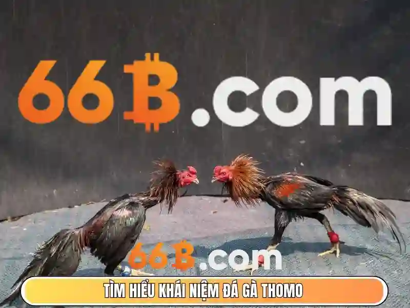 Khái niệm và ứng dụng của mô hình 66B Giao diện nhà cái hoàn hảo