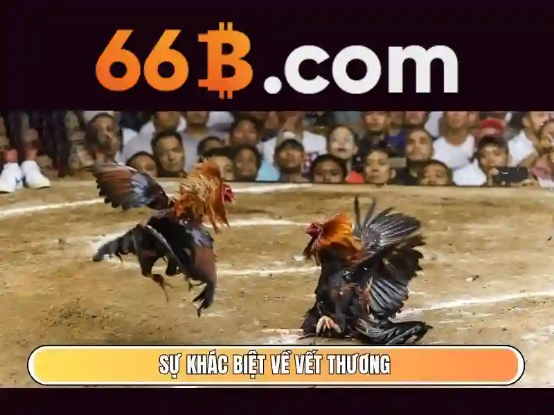 66b là gì và tại sao nó được quan tâm