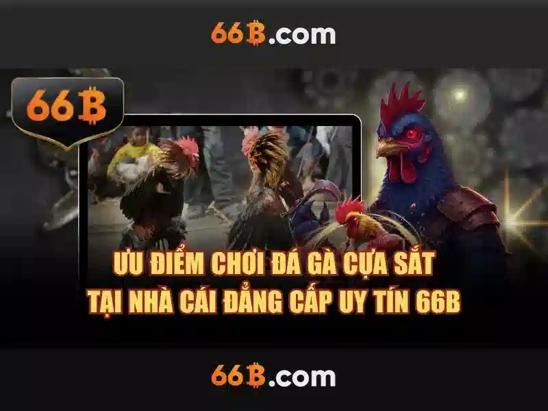 Kiến trúc và đào tạo