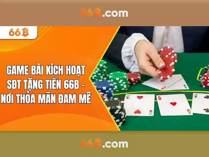 66B là gì?