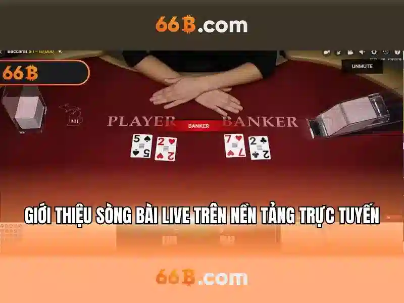 Kiến trúc và quy mô