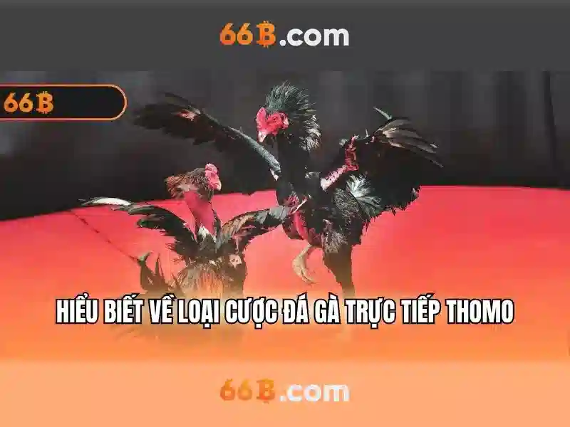 Ứng dụng và giới hạn của 66b