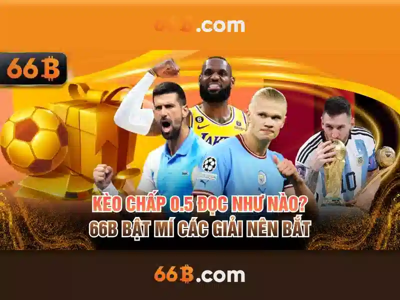 66B là gì?