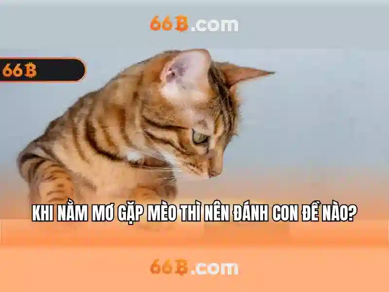 Đặc điểm kỹ thuật của 66B