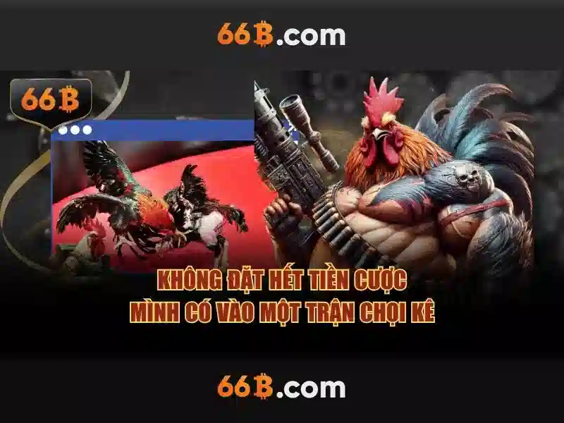 Giới thiệu về 66b