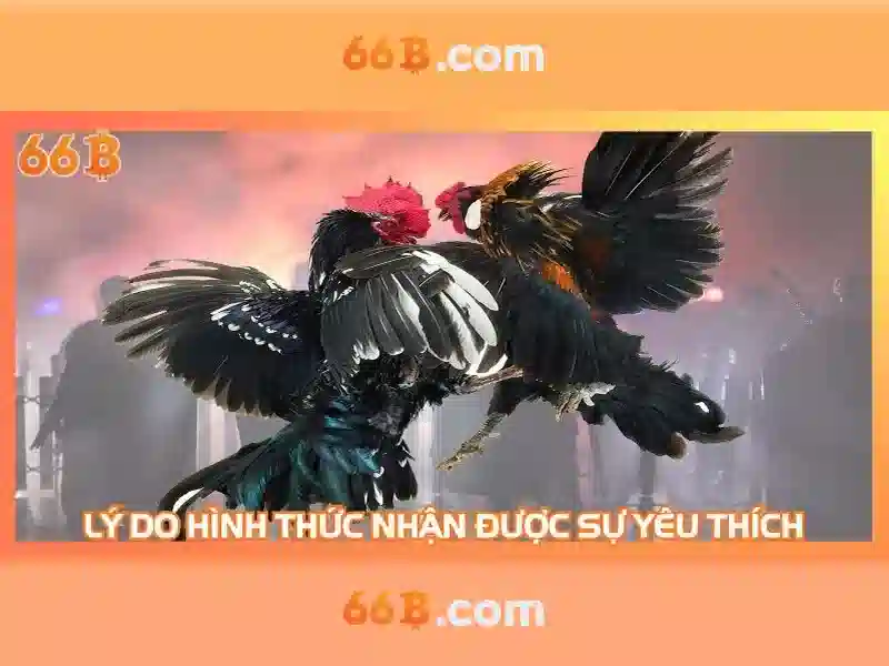 Hiệu suất và giới hạn của một mô hình 66 tỷ tham số