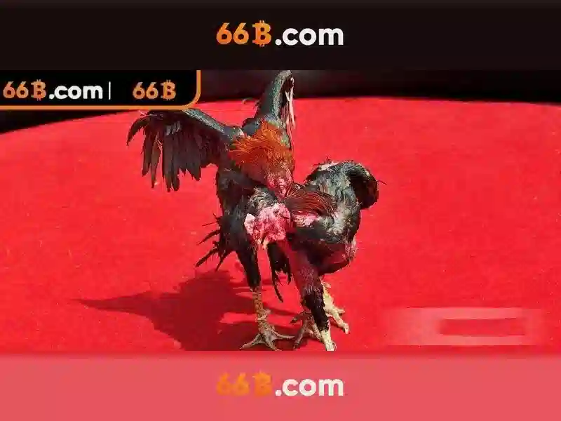 66b: Khai phá mô hình ngôn ngữ 66 tỷ tham số Giao diện nhà cái hoàn hảo