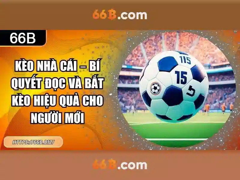 66B là gì?