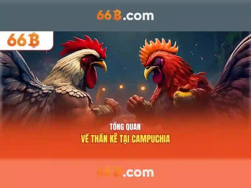 66b trong lịch sử và tương lai