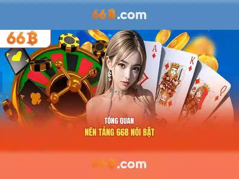 66B là gì