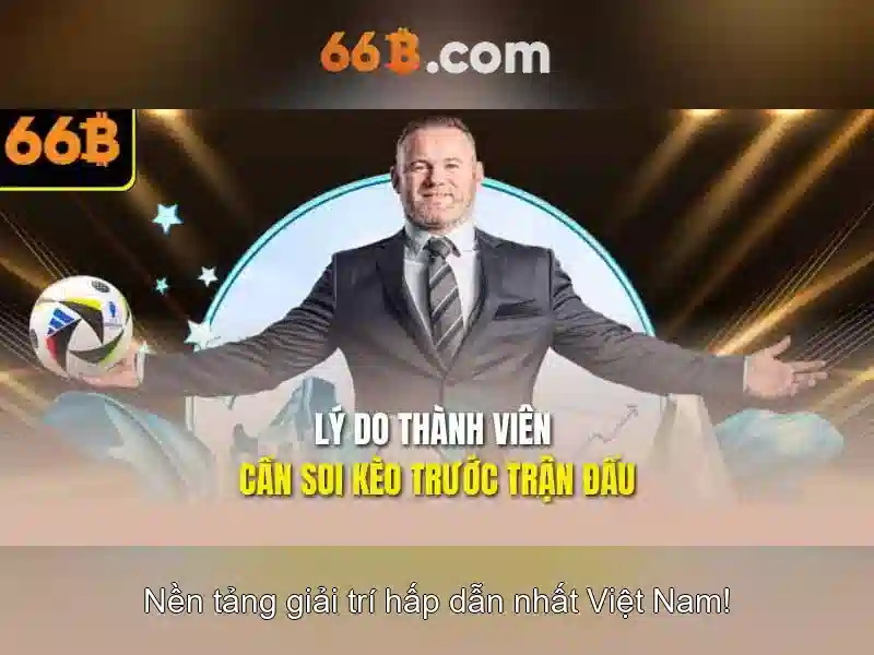 Đặc điểm nổi bật của 66B