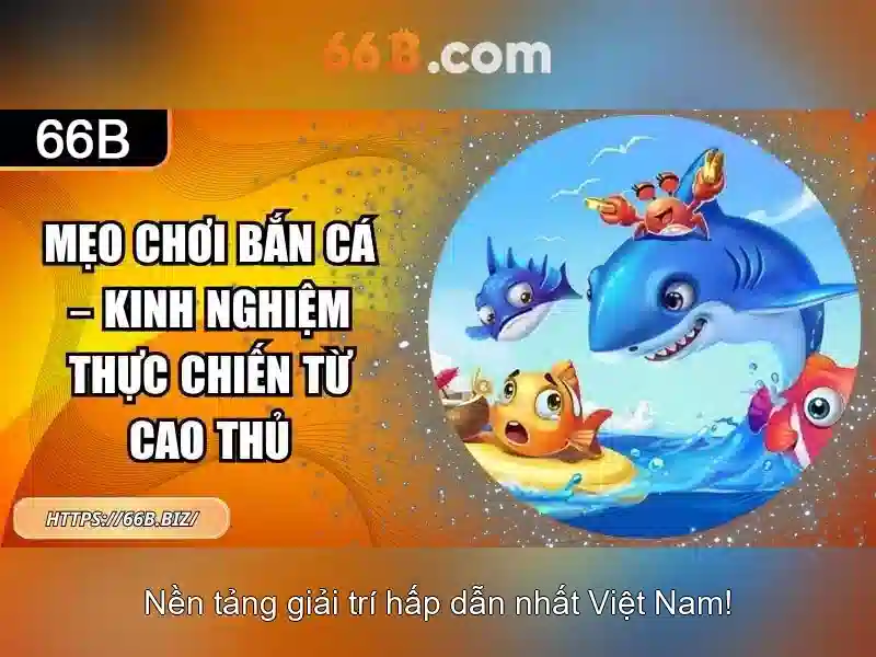 Cấu trúc và tham số