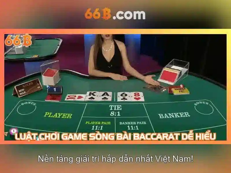 Tổng quan về 66B