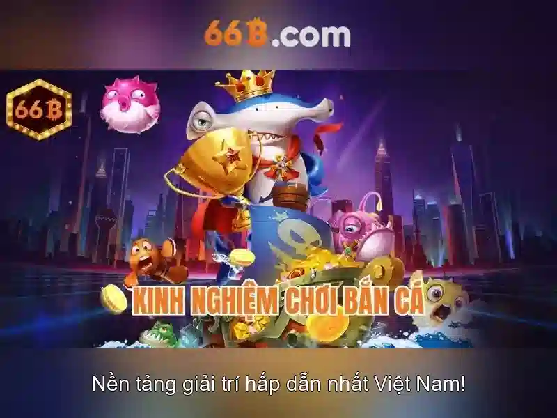 Đội ngũ quản trị 66b