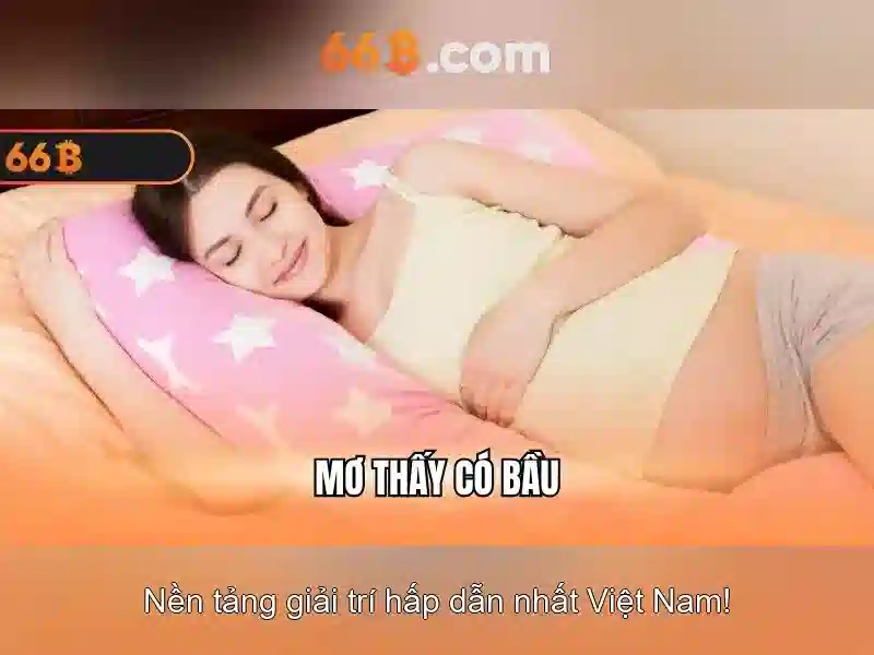 Kiến trúc và hoạt động của 66b