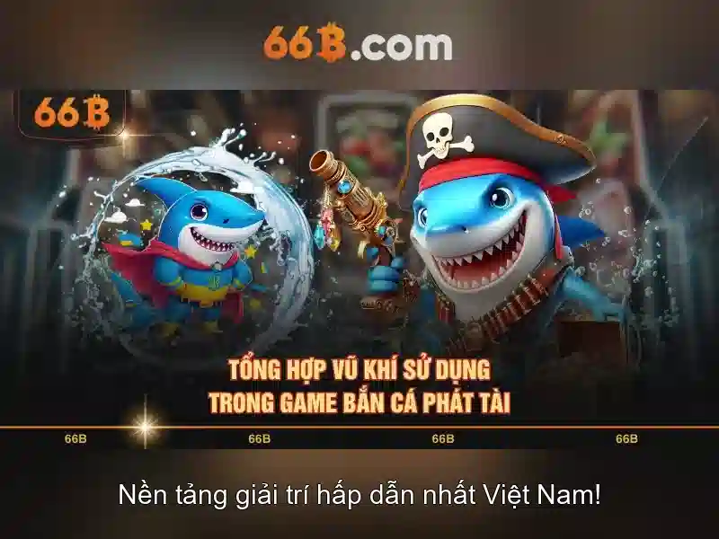 Giới thiệu về 66B