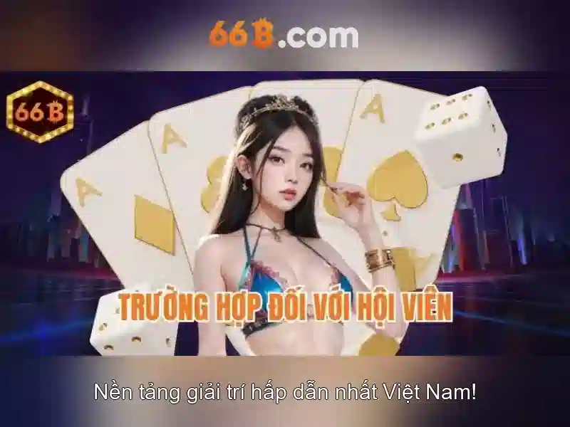 66B là gì