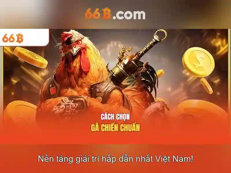 Ứng dụng và thách thức của 66B