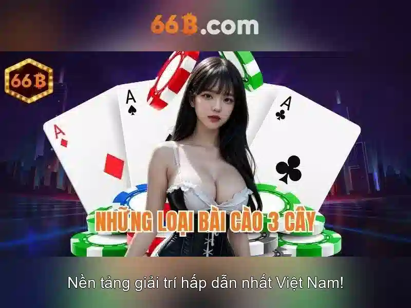 66b là gì và cấu trúc tổng quát của nó