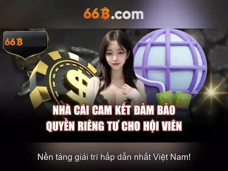 Giới thiệu về kích thước 66B