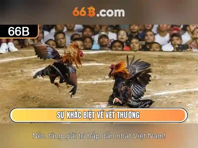 Khái niệm về 66B