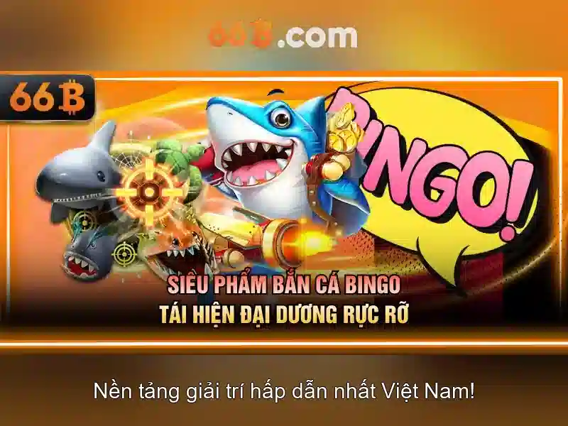 Giới thiệu về 66B