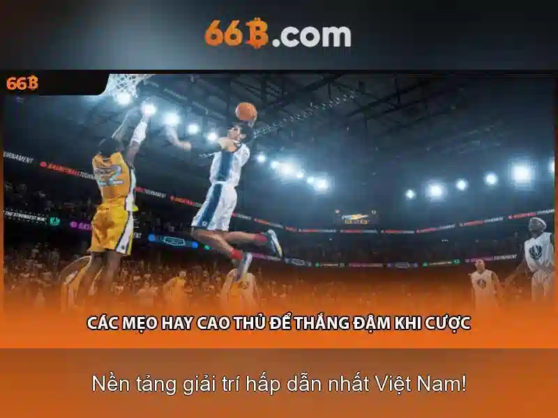 66B trong đời sống số và văn hóa online