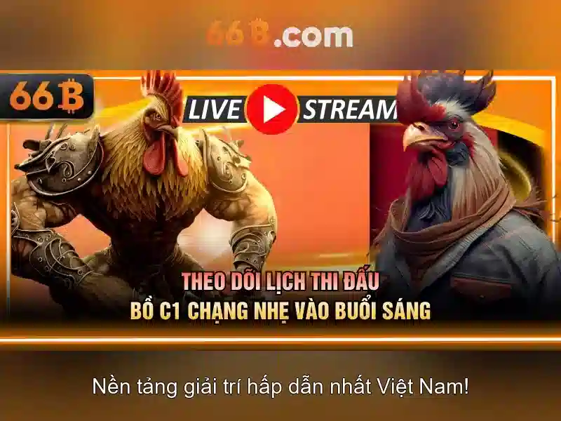 66b là gì? Hiểu và áp dụng kích thước áo ngực Giao diện nhà cái hoàn hảo