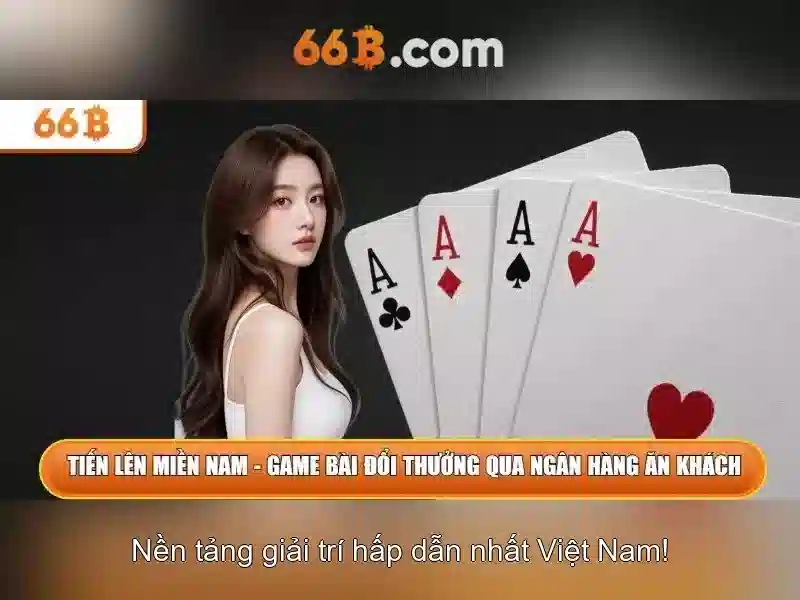 66B là gì?
