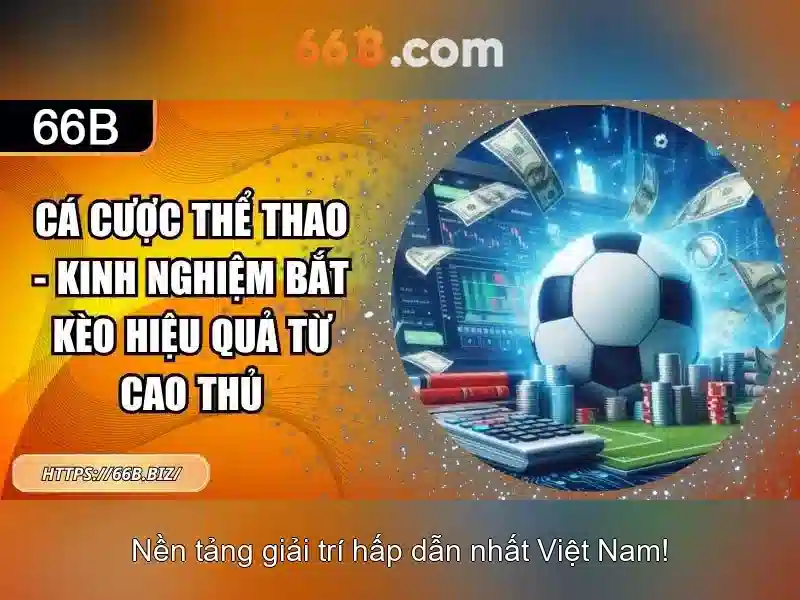 Ứng dụng của 66B trong thực tế