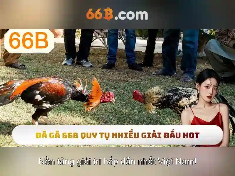 Ứng dụng và lợi ích