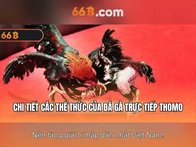 Ứng dụng và tiềm năng