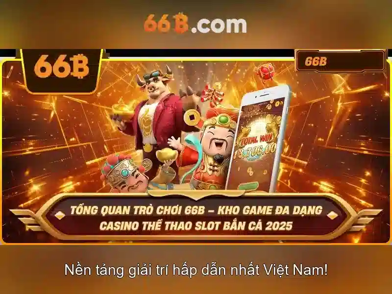 66b là gì?