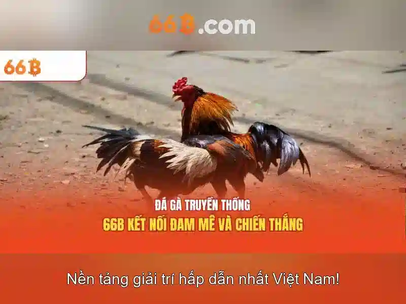 66b: một tổng quan Giao diện nhà cái hoàn hảo