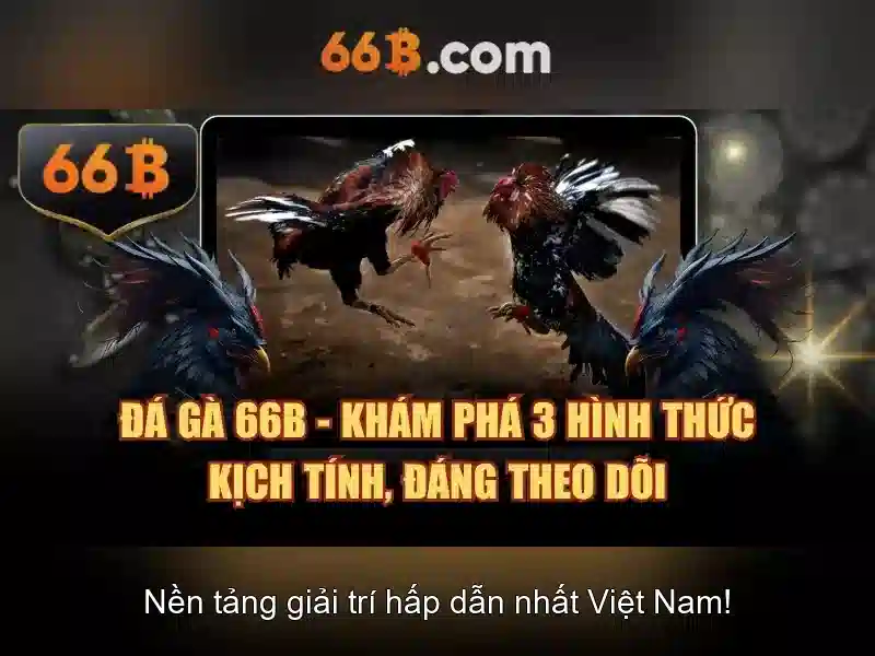 66B: Mô hình AI tiên tiến cho ứng dụng đa nền tảng Giao diện nhà cái hoàn hảo
