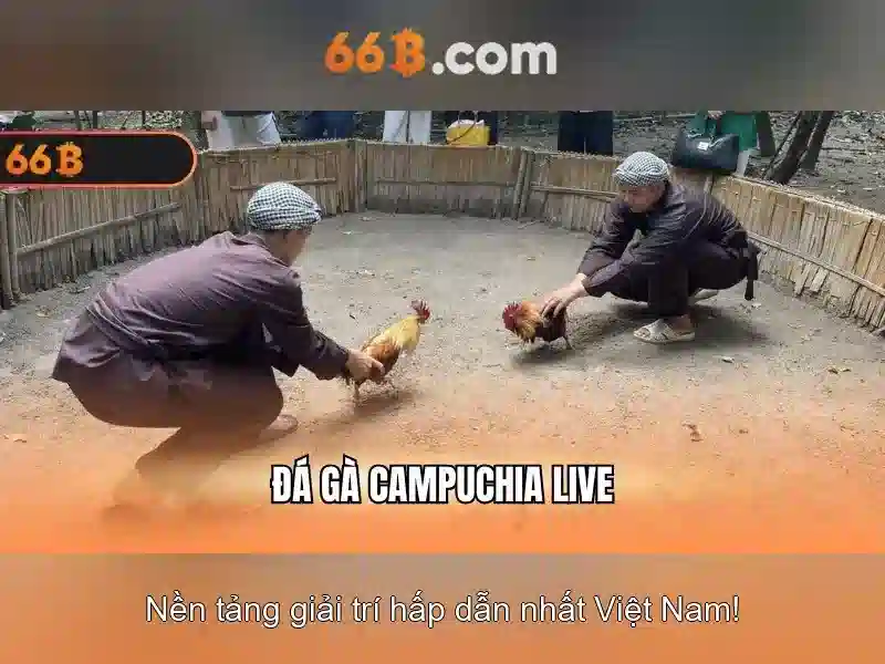Thông số kỹ thuật của 66B