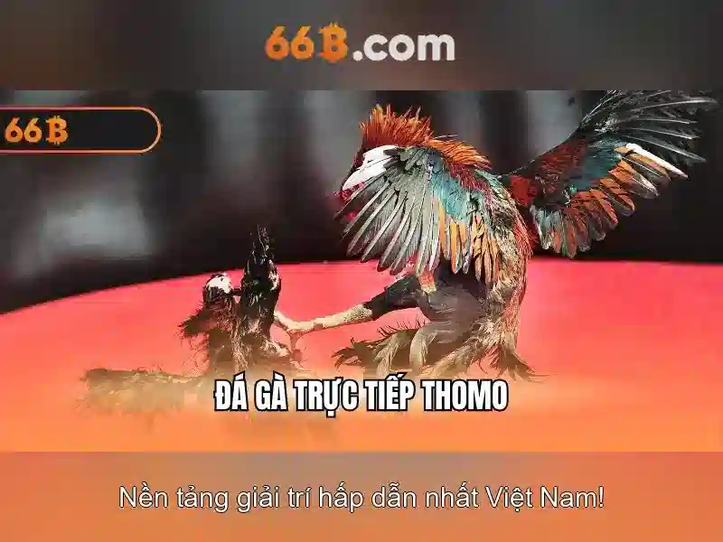 Đánh giá hiệu suất và thách thức