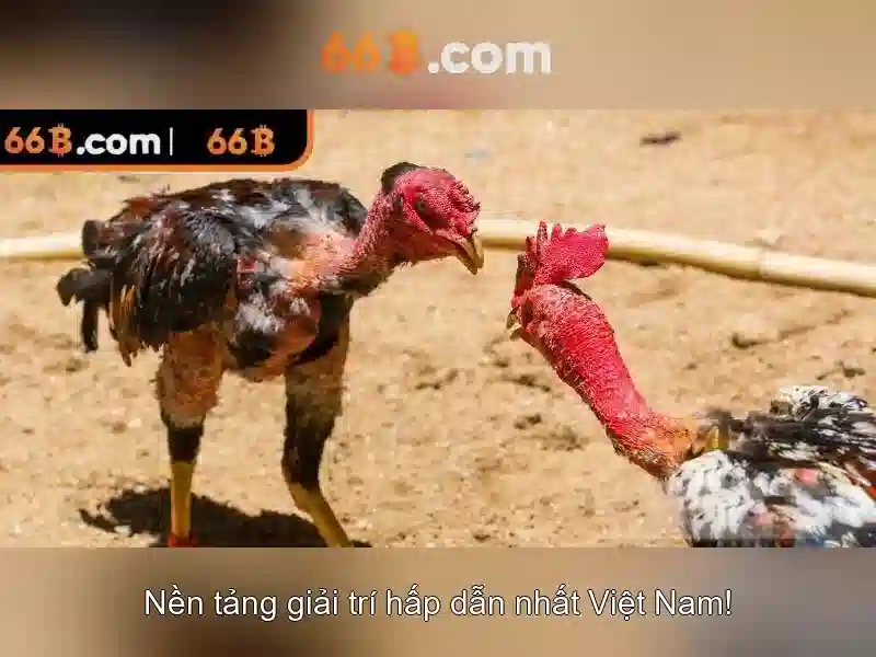 Giao diện nhà cái hoàn hảo