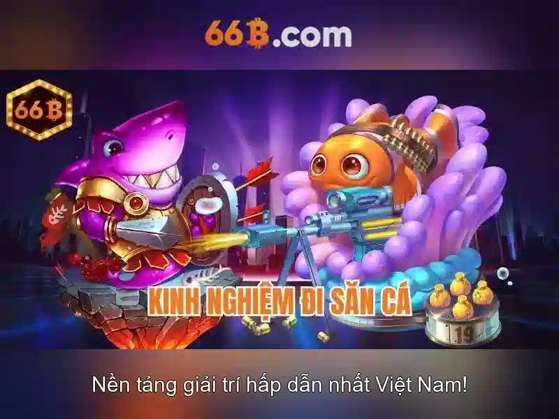66b là gì?