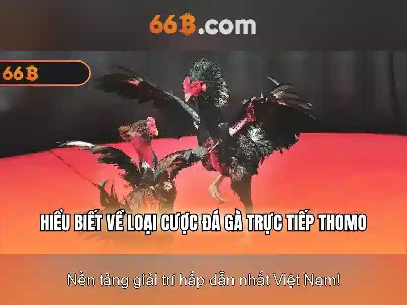 66b-payment