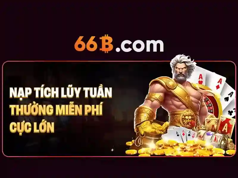 66b là gì và cấu trúc tổng quát của nó Giao diện nhà cái hoàn hảo