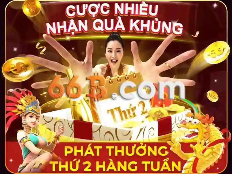 66B là gì và tại sao bạn nên quan tâm