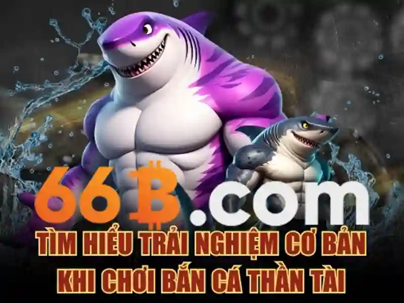 Nguồn gốc và mục đích của 66b